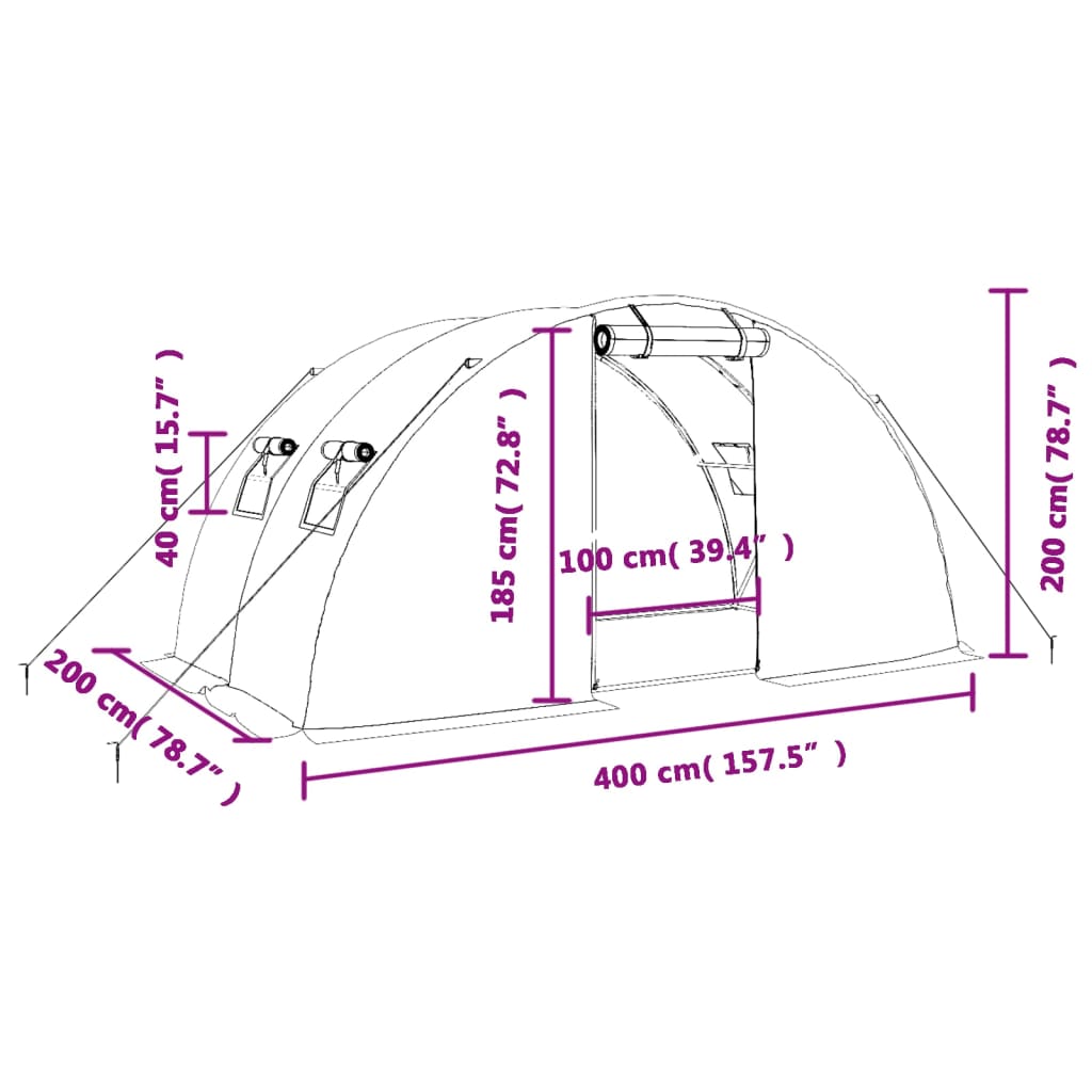 Tuinkas met stalen frame 8 m² 4x2x2 m