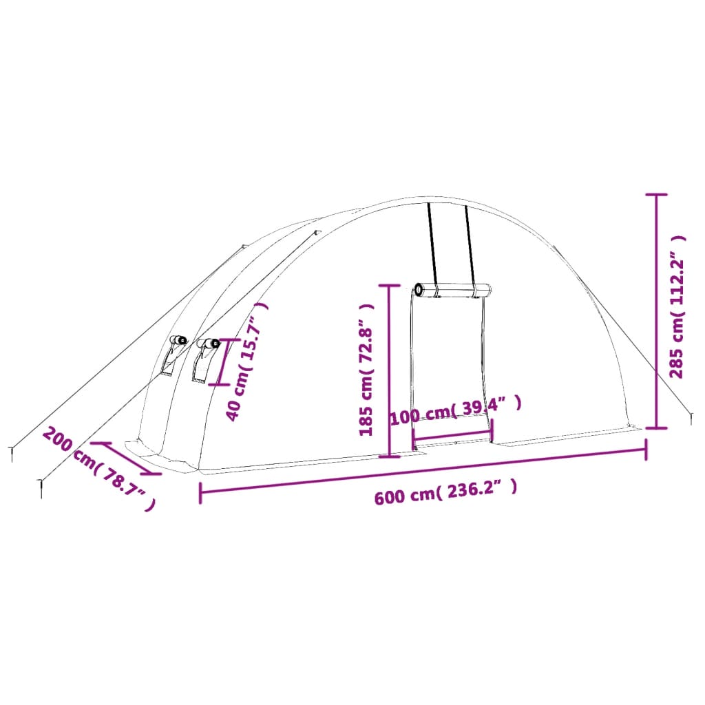 Tuinkas met stalen frame 12 m² 6x2x2,85 m