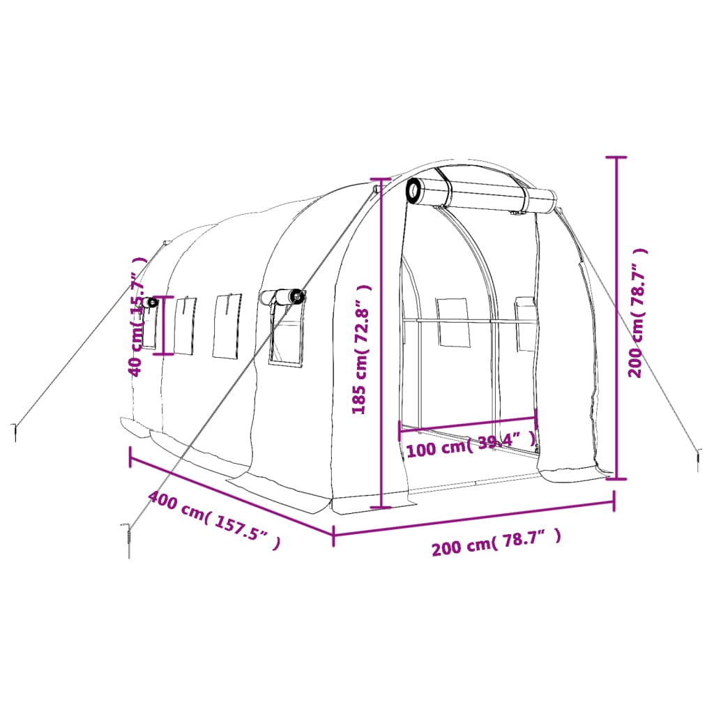 Tuinkas met stalen frame 8 m² 4x2x2 m